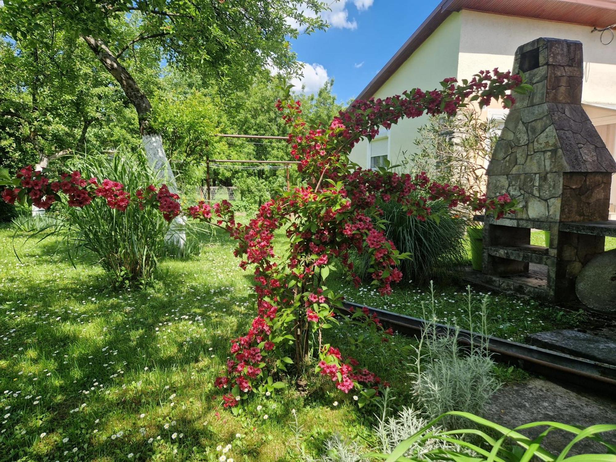 Studio Apartman Marica - Ogulin, Hrvatska Exteriér fotografie