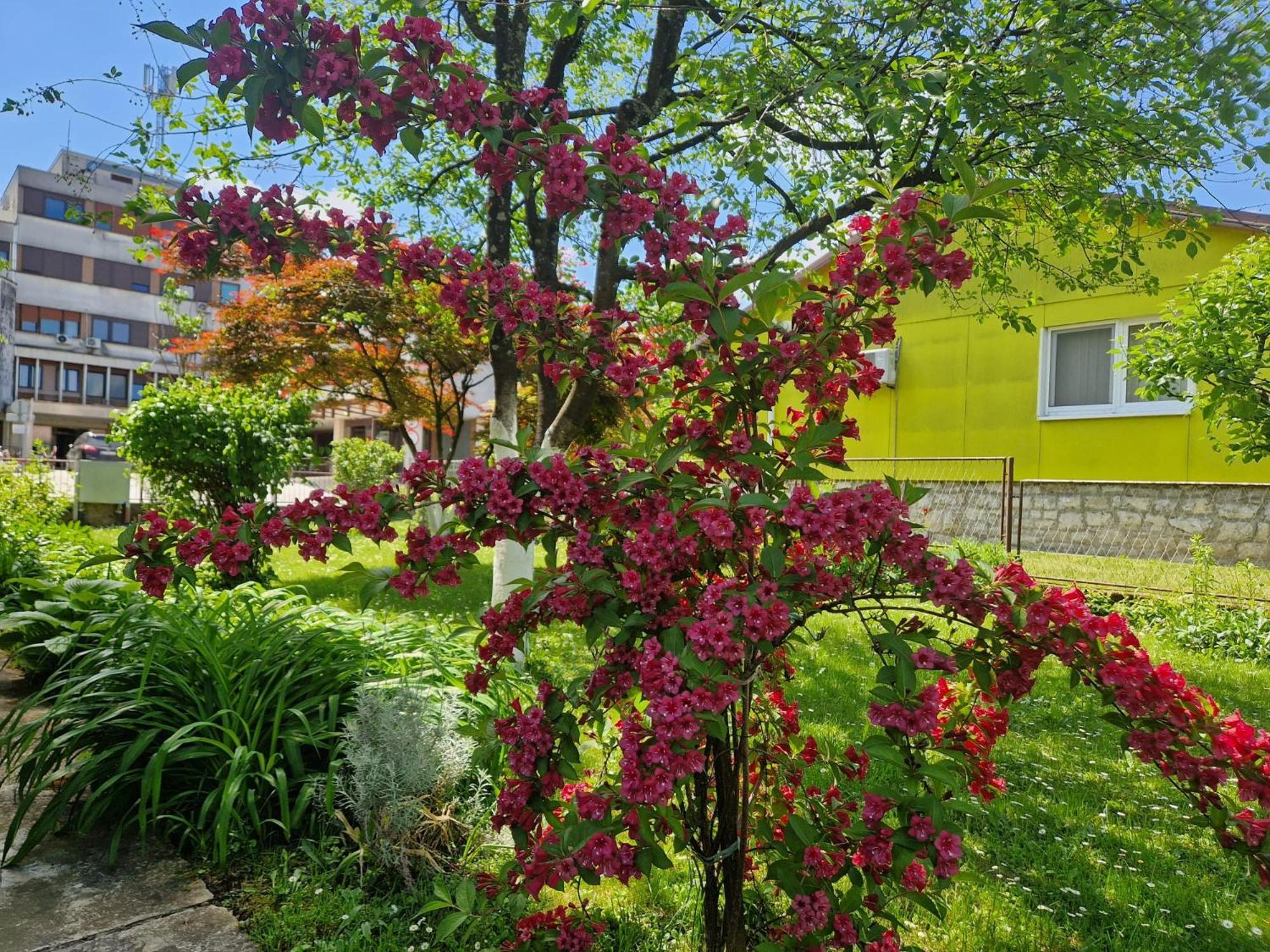Studio Apartman Marica - Ogulin, Hrvatska Exteriér fotografie