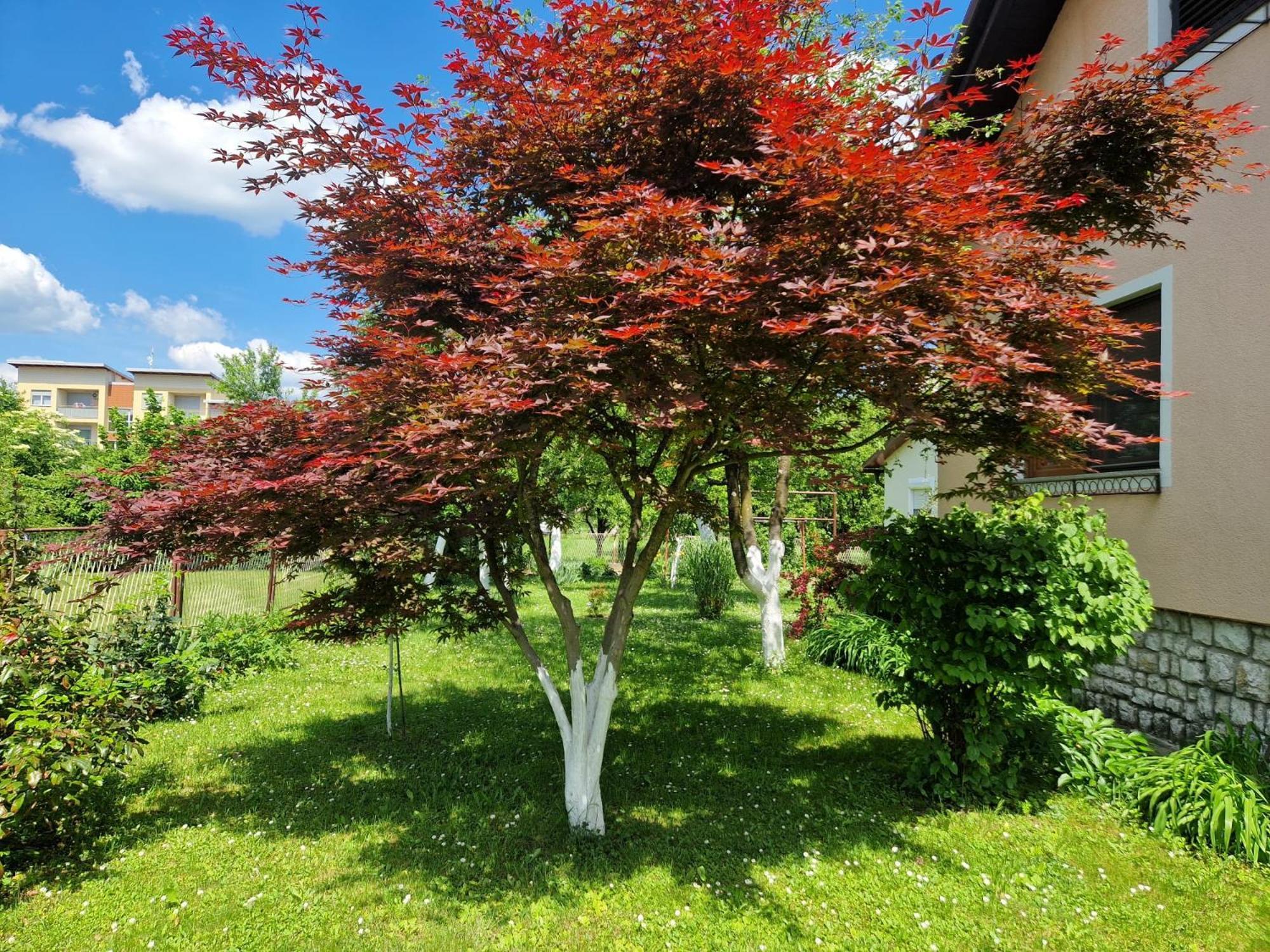 Studio Apartman Marica - Ogulin, Hrvatska Exteriér fotografie